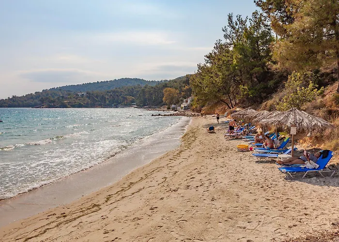 埃斯佩利兹酒店 3*