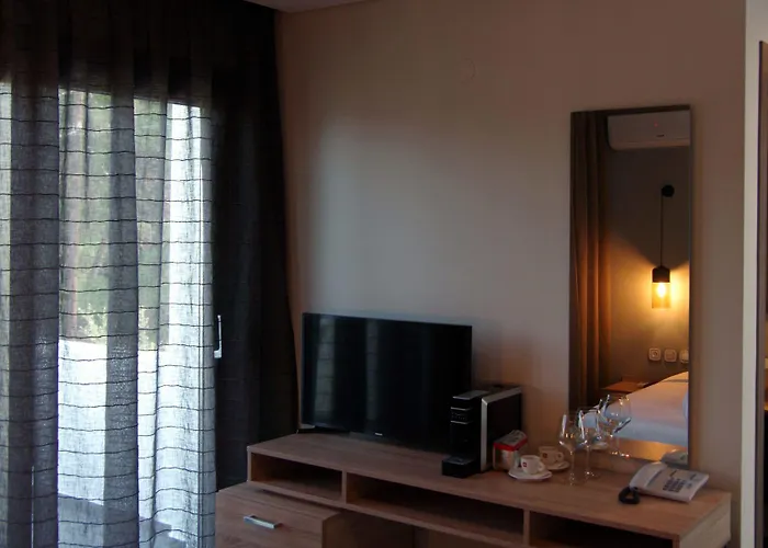 埃斯佩利兹酒店